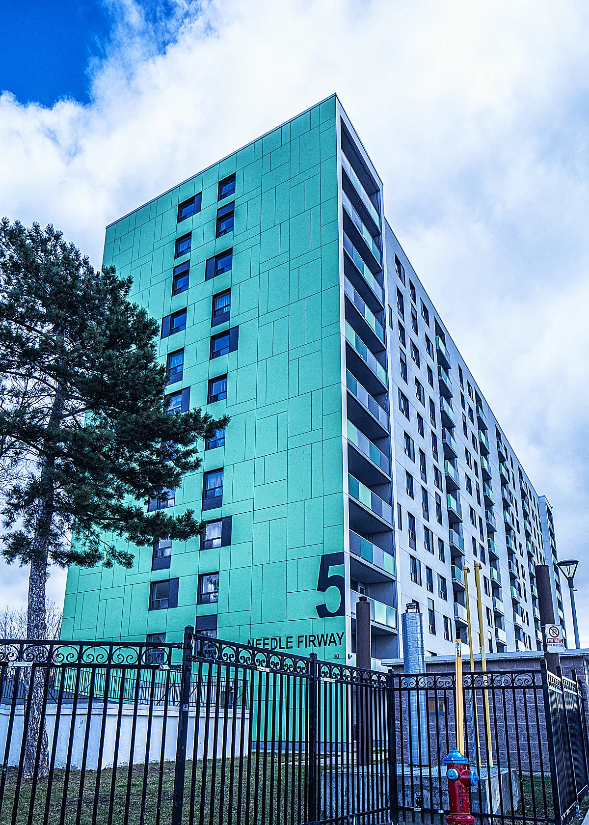 5 Needle Firway, North York